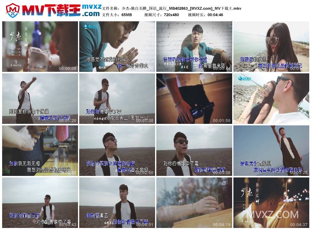 少杰-独自买醉_国语_流行_MB402863